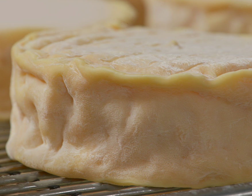 epoisses2 epoisses2