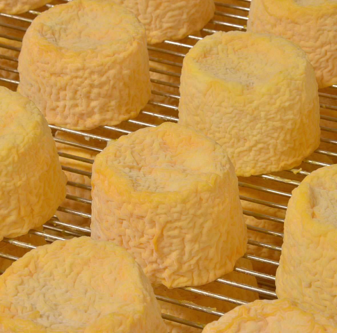 langres1 langres1